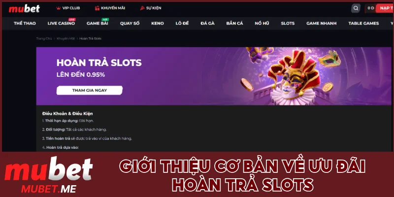 Giới thiệu cơ bản về ưu đãi hoàn trả slots