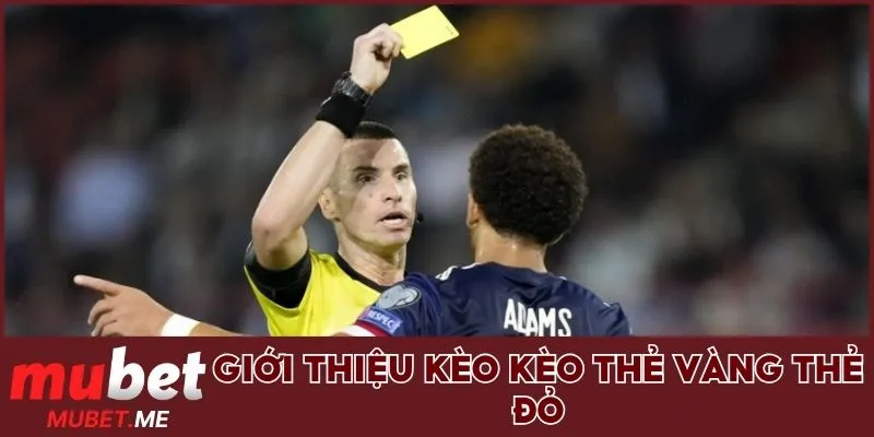 Giới thiệu về hình thức cược các lá phạt trong thể thao