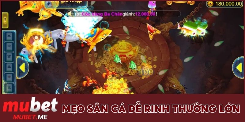 Mẹo săn cá dễ rinh thưởng lớn