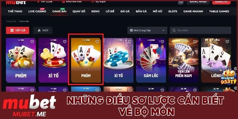 Những điều sơ lược cần biết về bộ môn